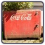 Kühltruhe "Coca-Cola" als Pflanzenkübel